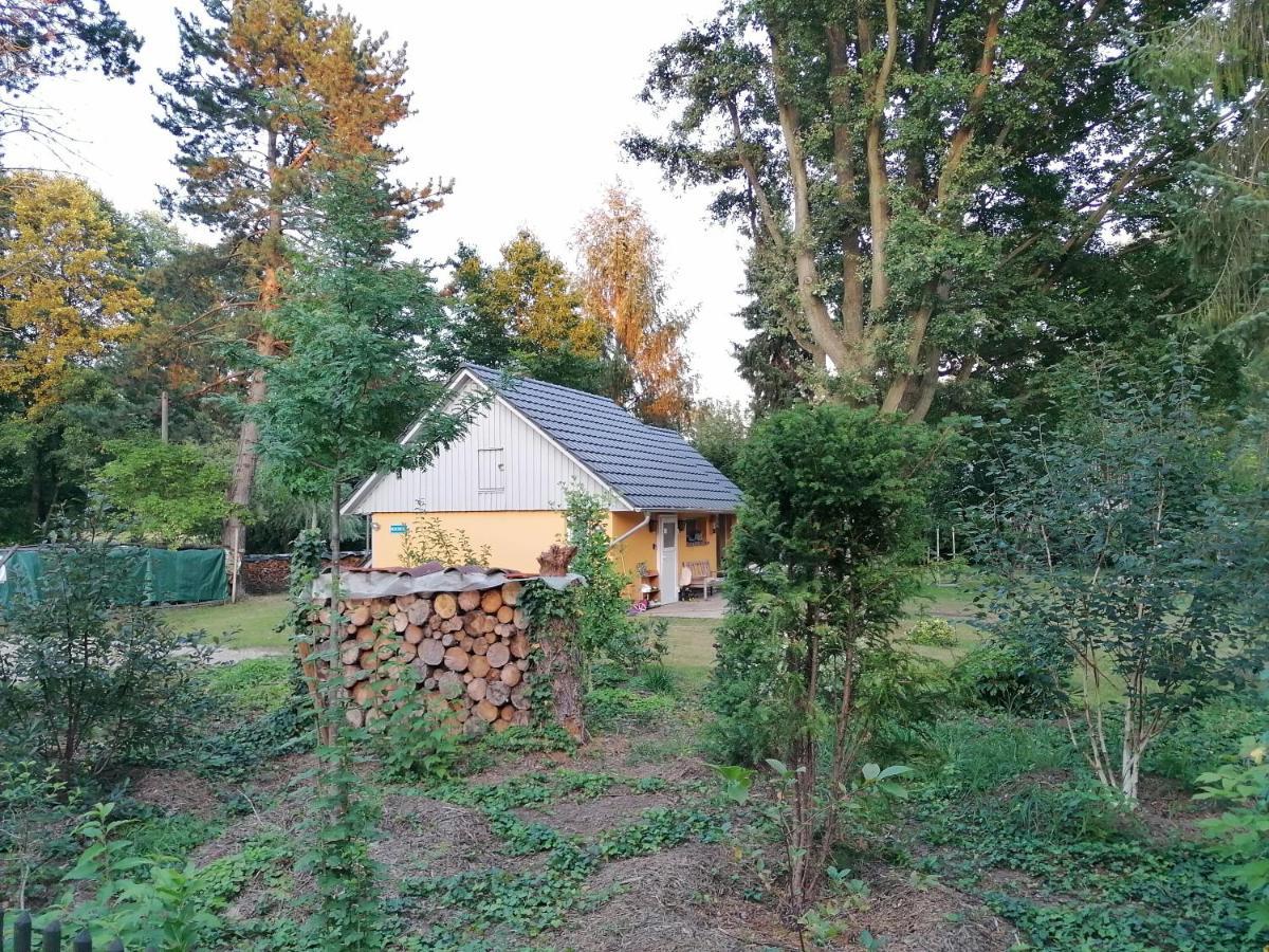 Villa Bleichehof à Burg  Extérieur photo