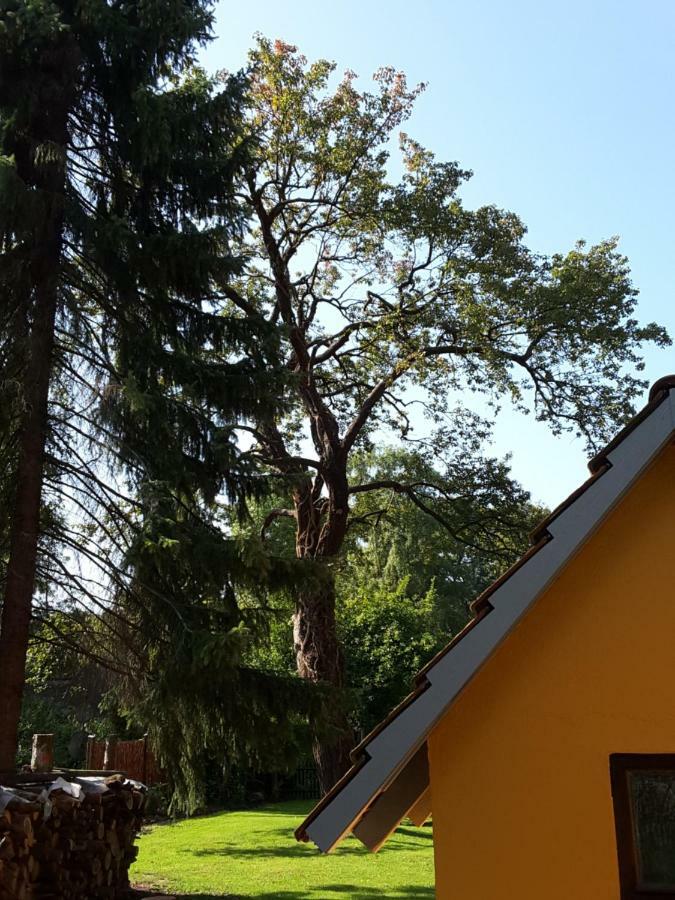 Villa Bleichehof à Burg  Extérieur photo